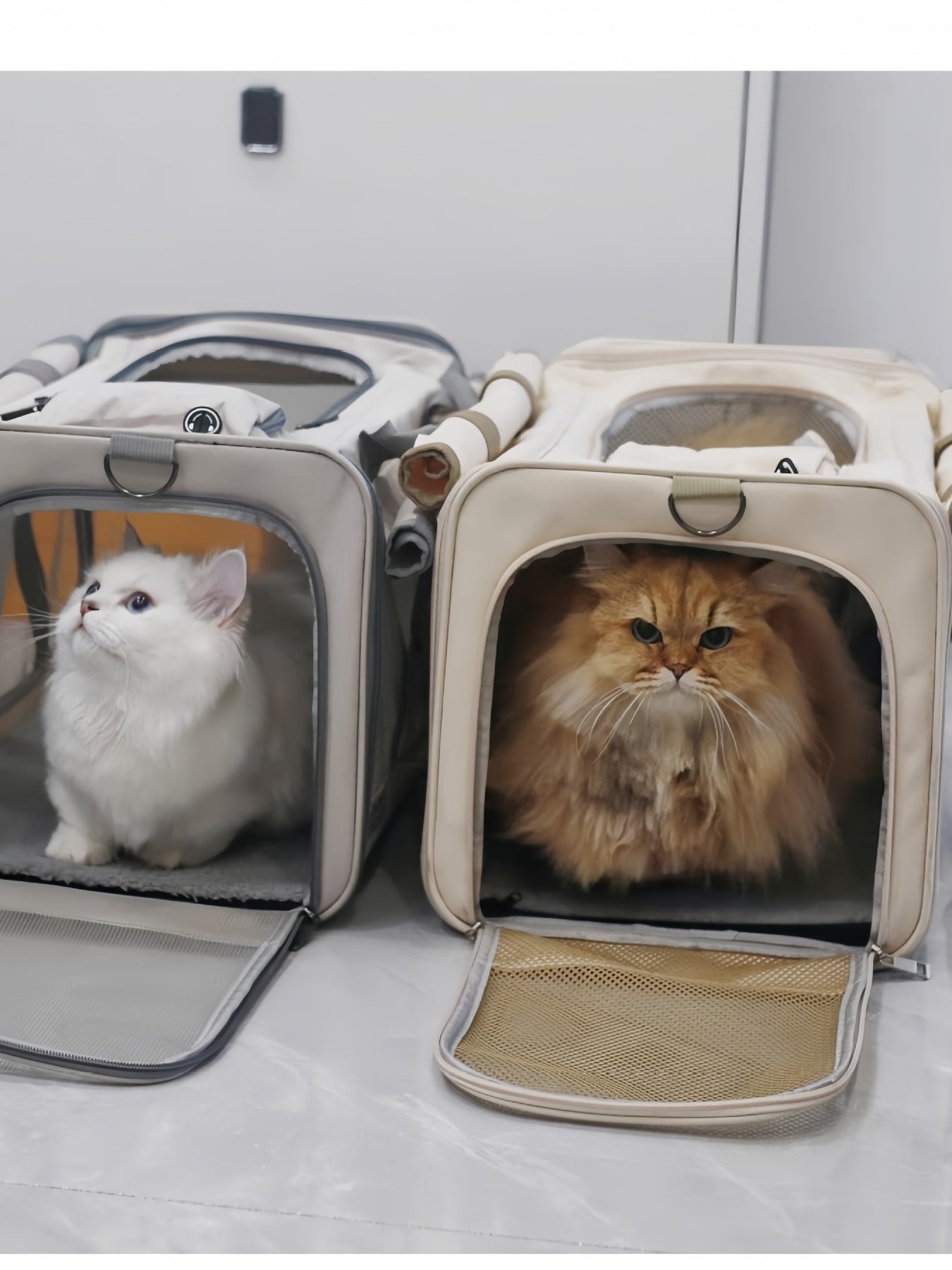 Comfortable Breathable Pet Carrier Bag Trendsi