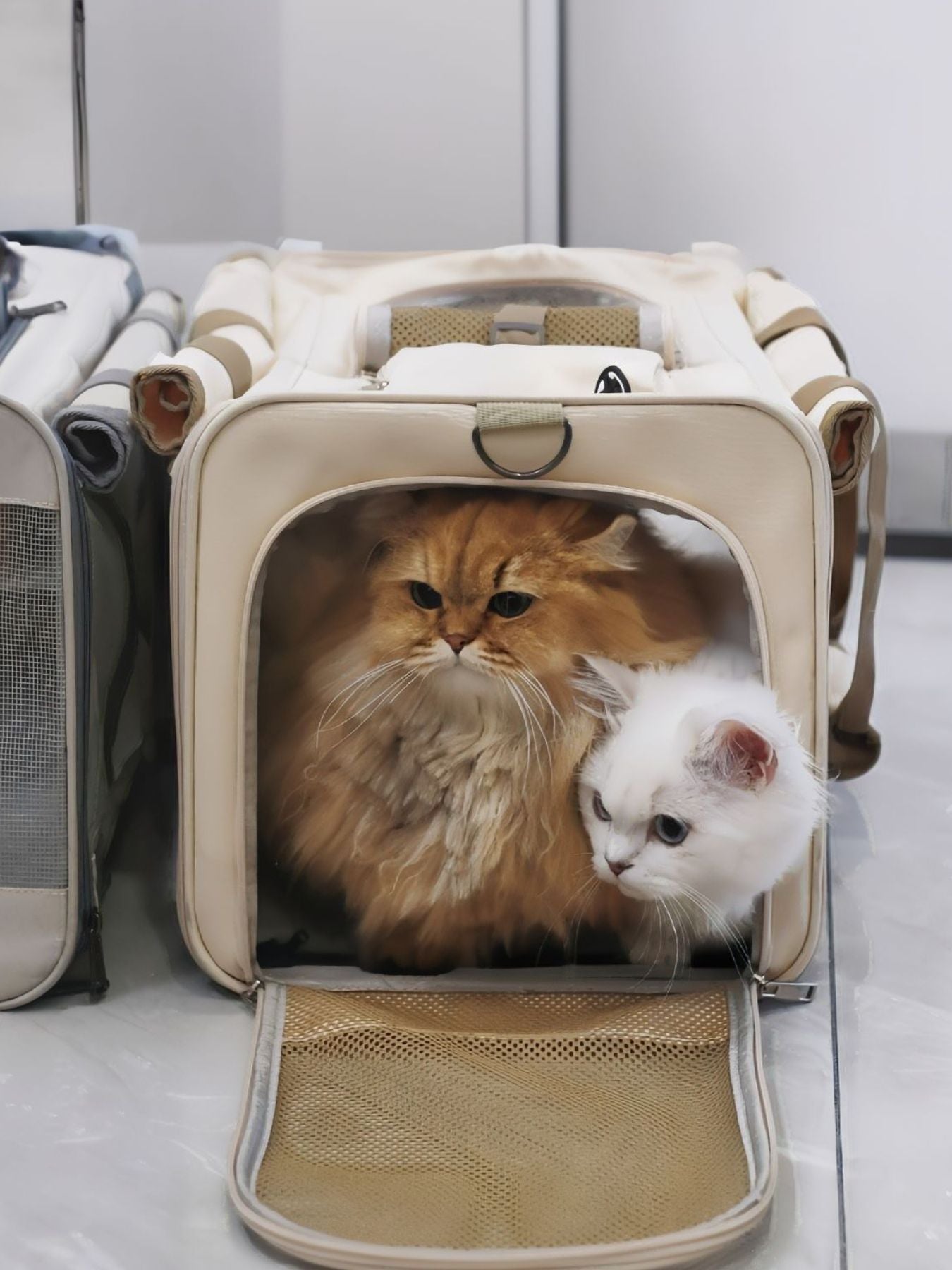 Comfortable Breathable Pet Carrier Bag Trendsi