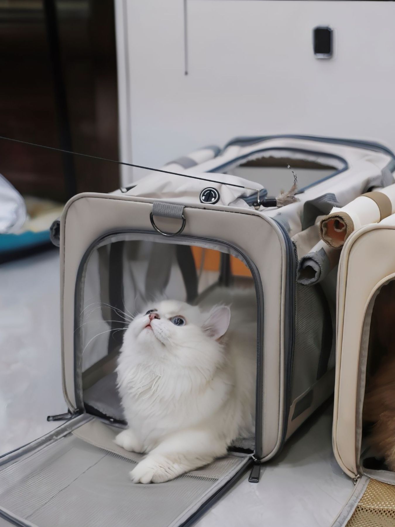 Comfortable Breathable Pet Carrier Bag Trendsi