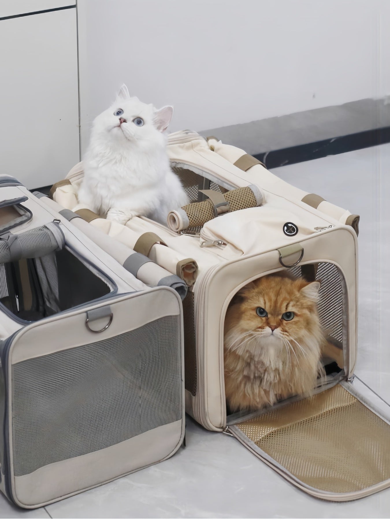 Comfortable Breathable Pet Carrier Bag Trendsi